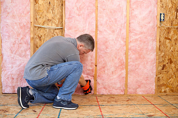 Types of Insulation We Offer in Eureka, CA